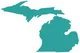 State Of Michigan payment method